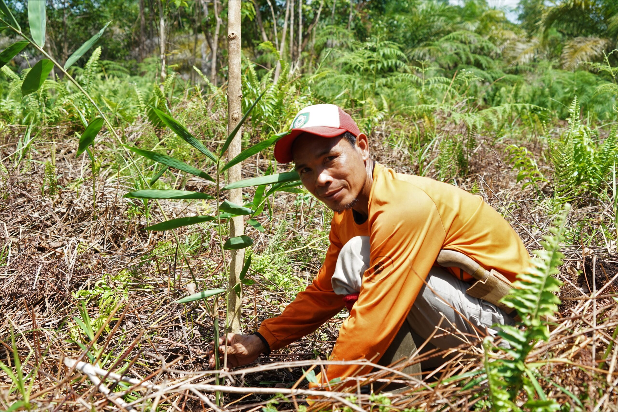 A farmer planting seeds in fertile agricultural soil