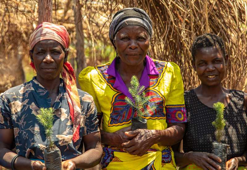 Women holding tree seedlings