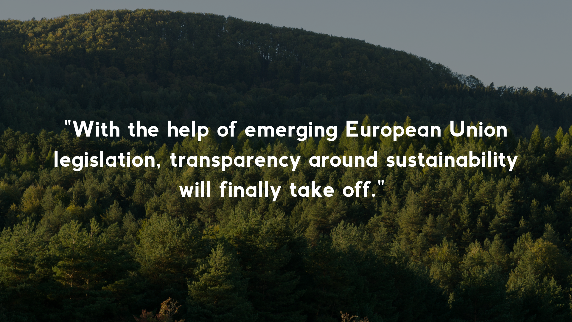 half aerial photo forest with quote about transparency in sustainability through EU legislation