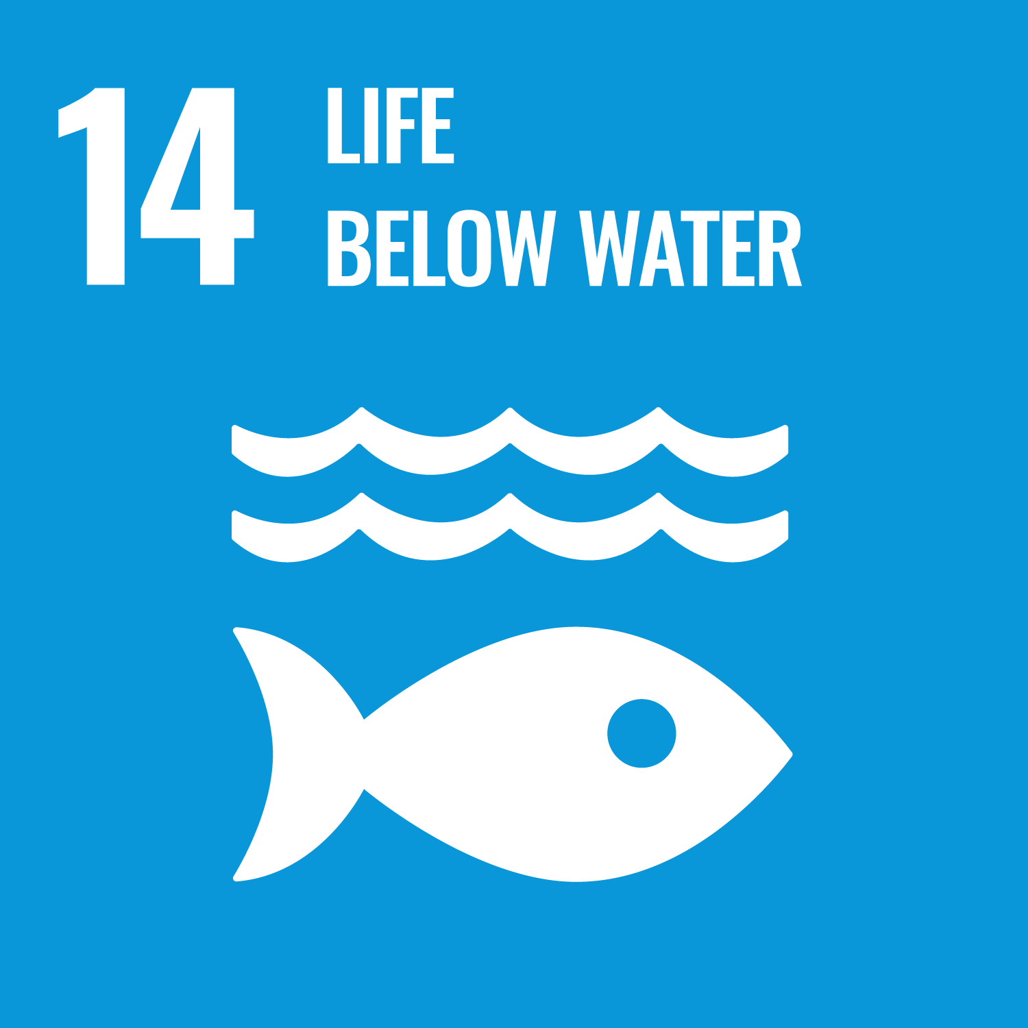 UN sustainable development goal 14 life below water