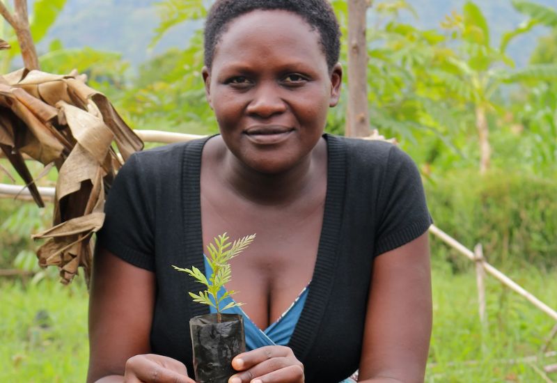 Woman holding a tree seedling
