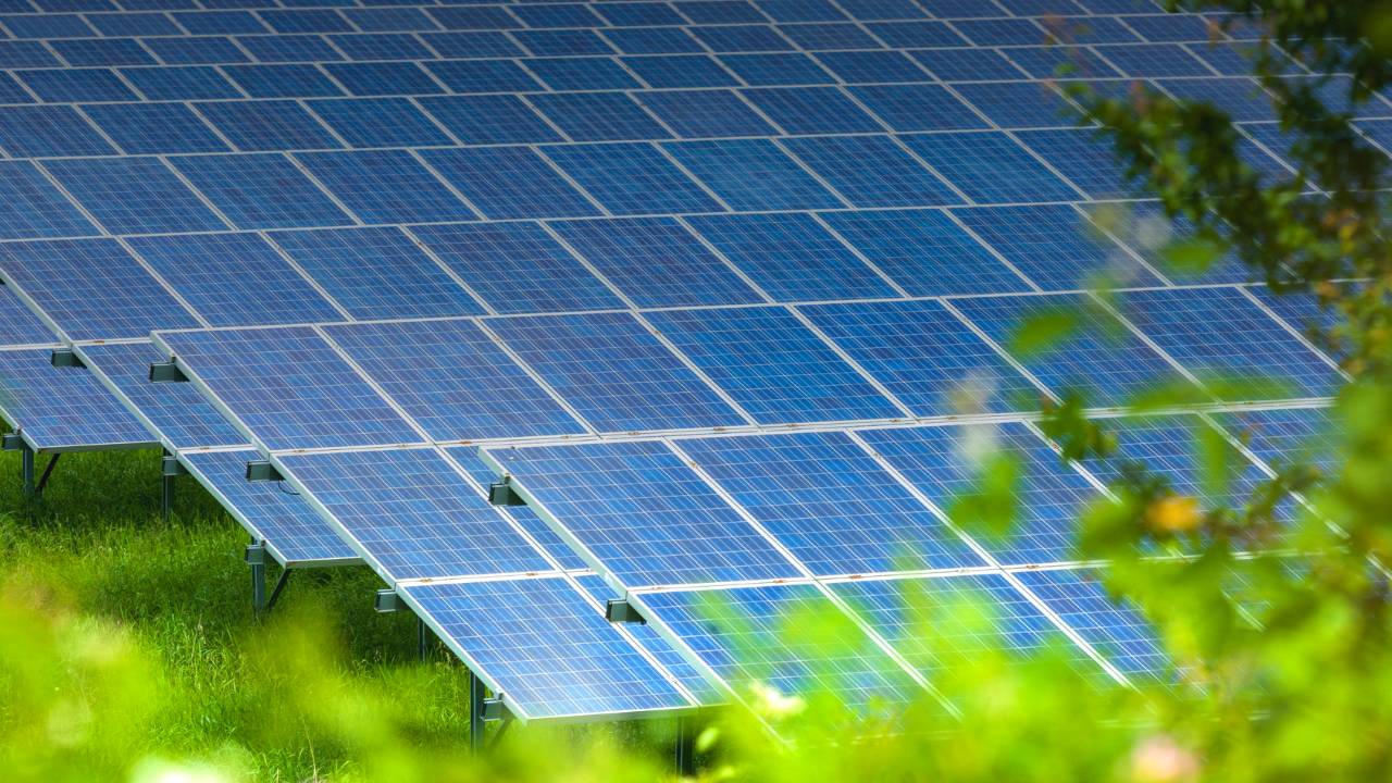 Solar panels providing renewable energy on a field of grass