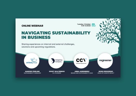 Banner webinar navigating sustainability in business