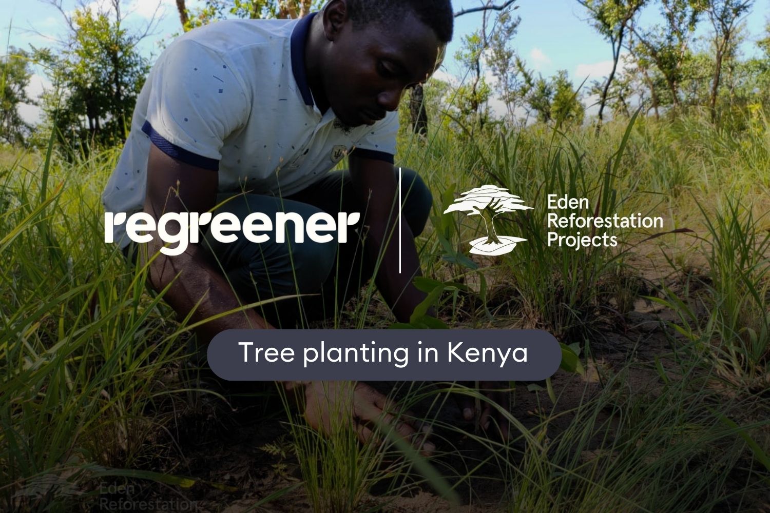 Local community planting trees in nature in Kenya