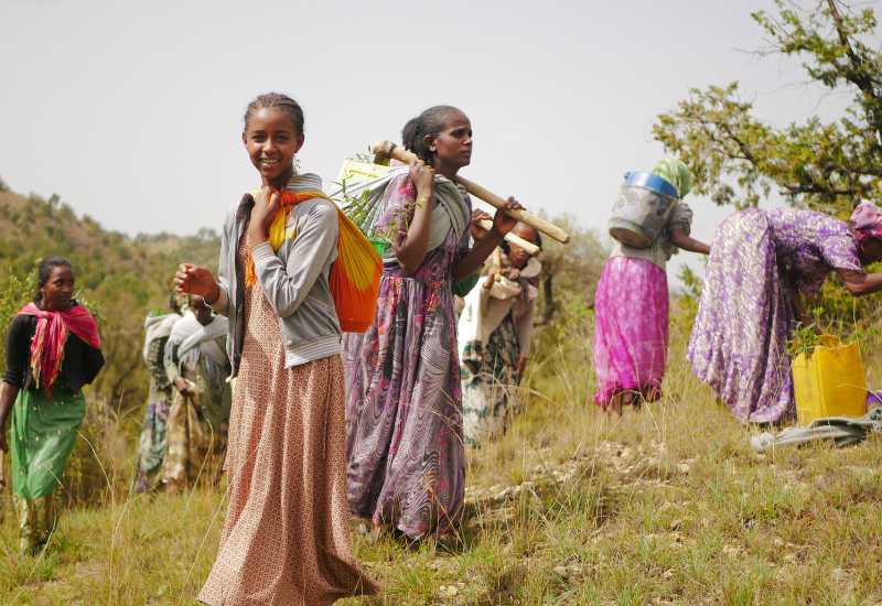 woman carrying baskets with tree seedlings in Ethiopia