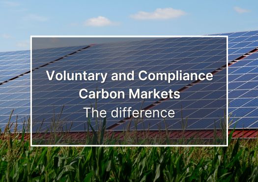 banner about Voluntary and Compliance Carbon Markets: the difference