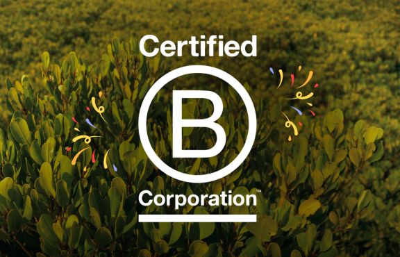 Regreener is a B Corporation since 2 January 2024