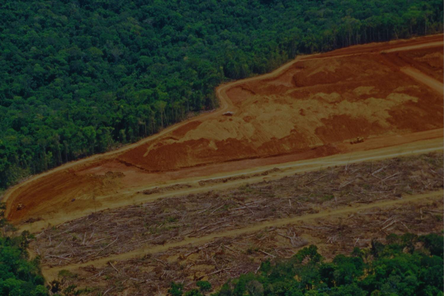 Forest adjacent to deforested forest