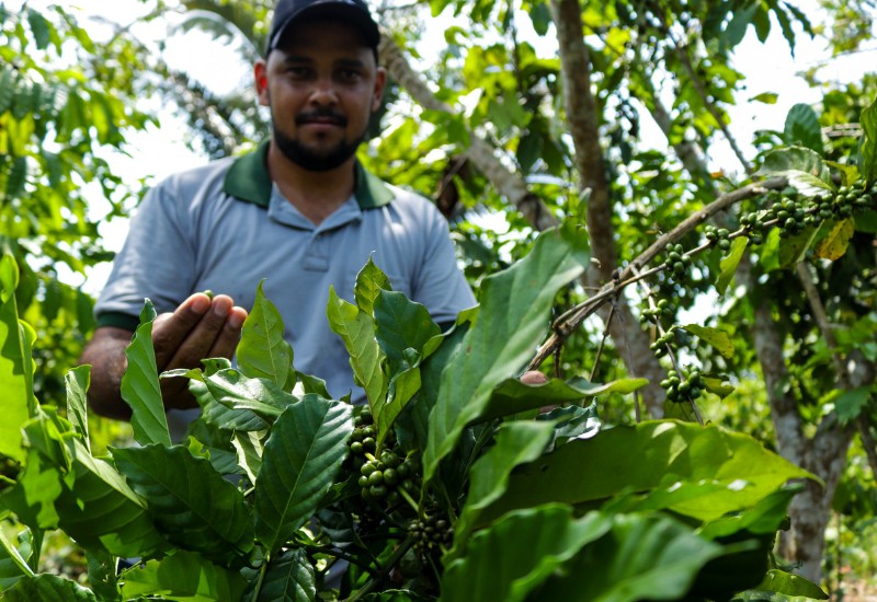 Local farmer looks for coffee beans