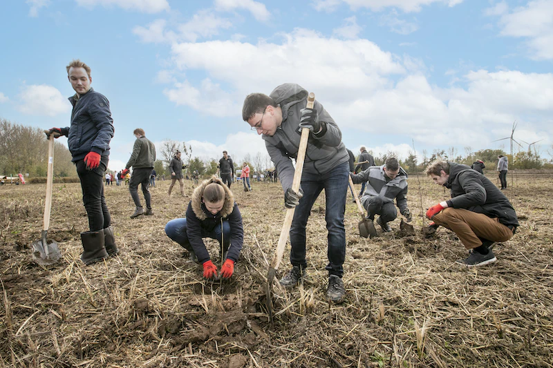 Young people digging holes to plant trees in The Netherlands-3