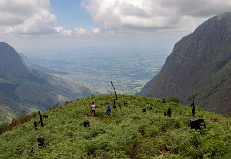 Tree planting site in Malawi mountains