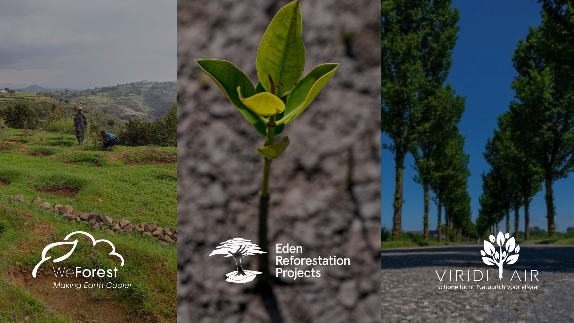 Our partners: WeForest, Eden Reforestation Projects, ViridiAir, and their planting sites