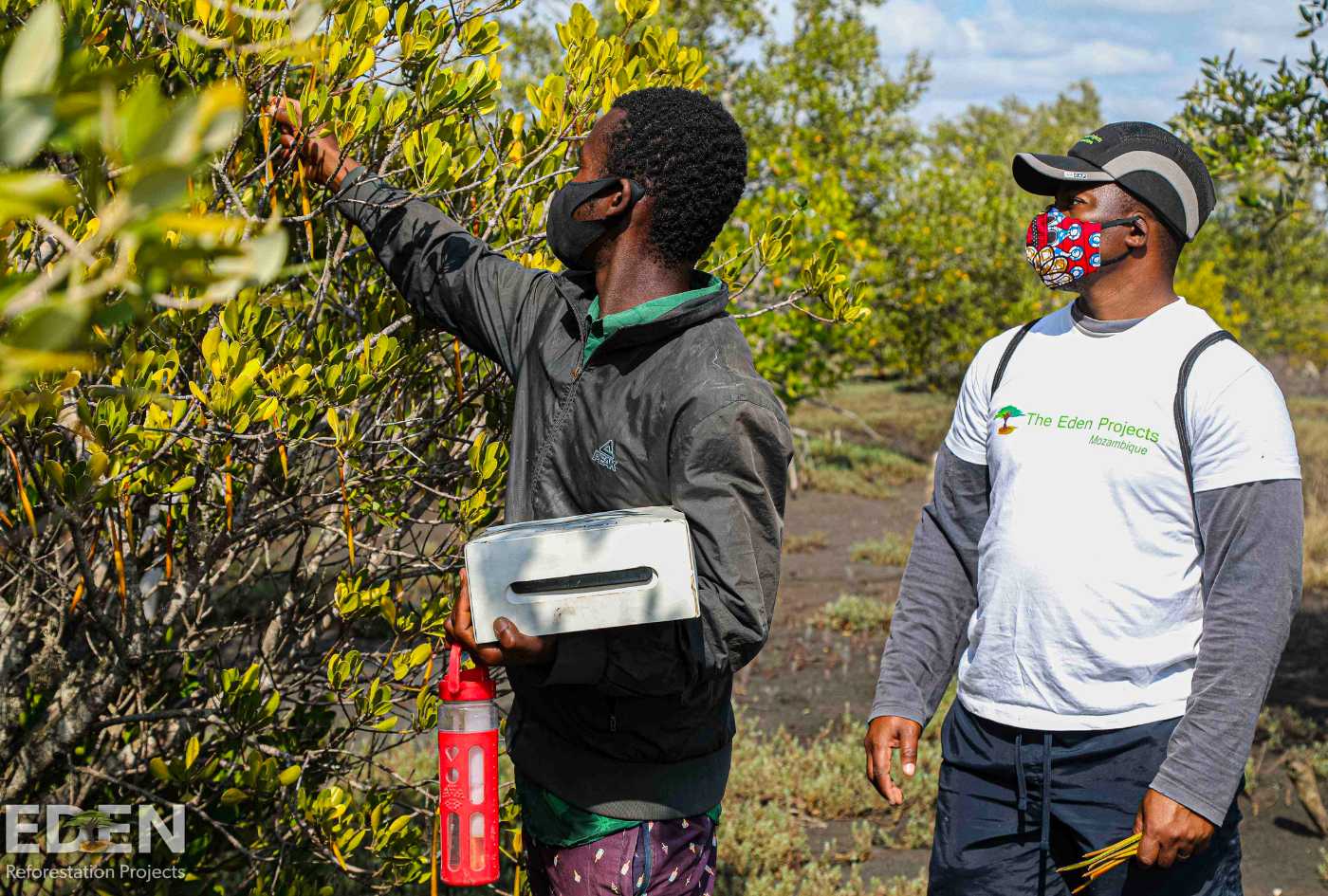Twee mannen evalueren de boomgroei en maken aantekeningen