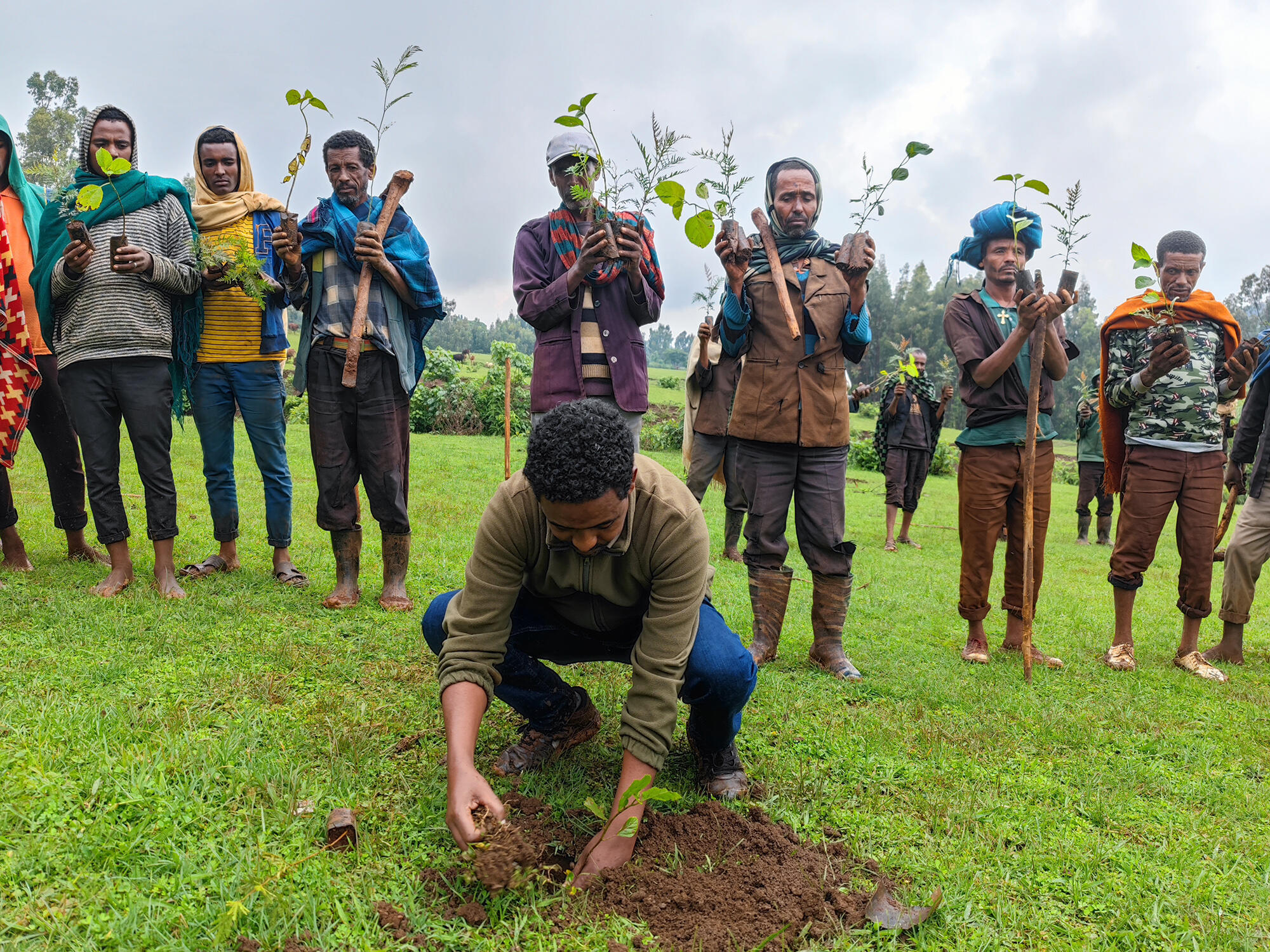Tree being planted with a crowd of local community
