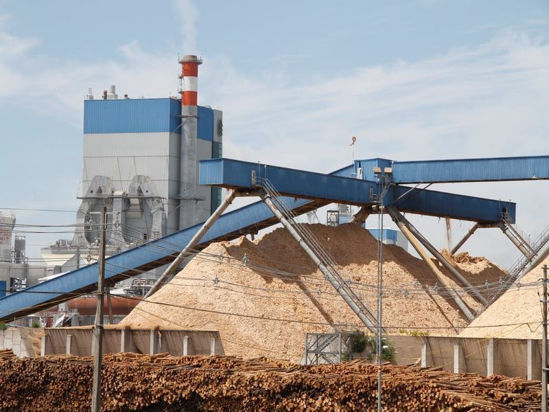 Biomass power plant factory in Chile cultivating renewable energy