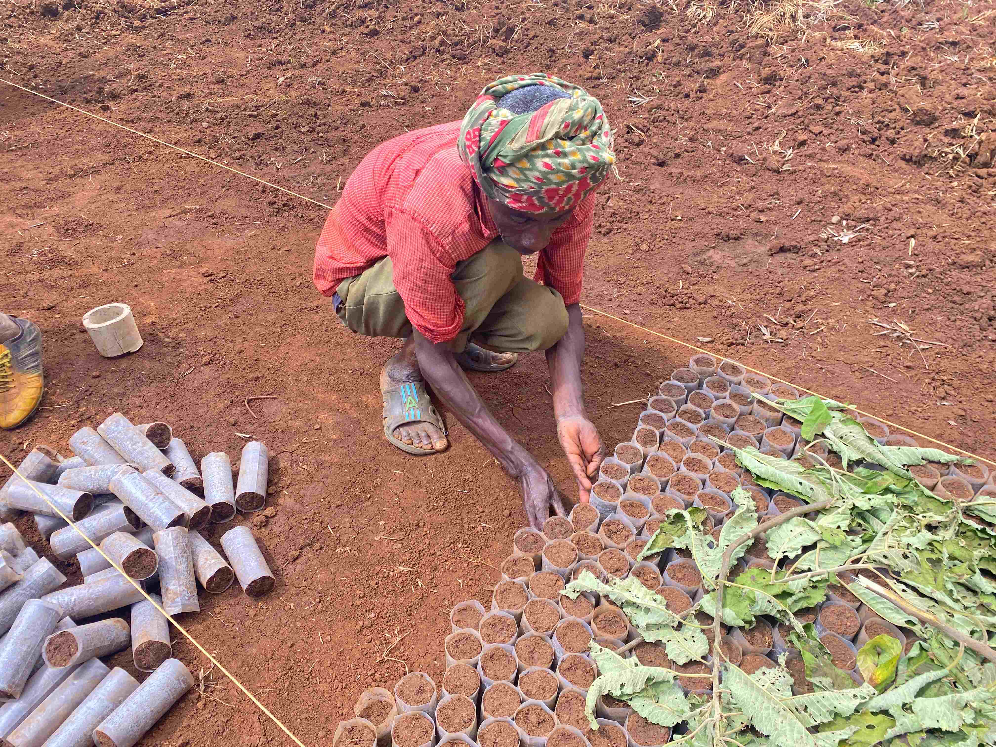 Woman working on tree seedlings in Amhara Ethiopia