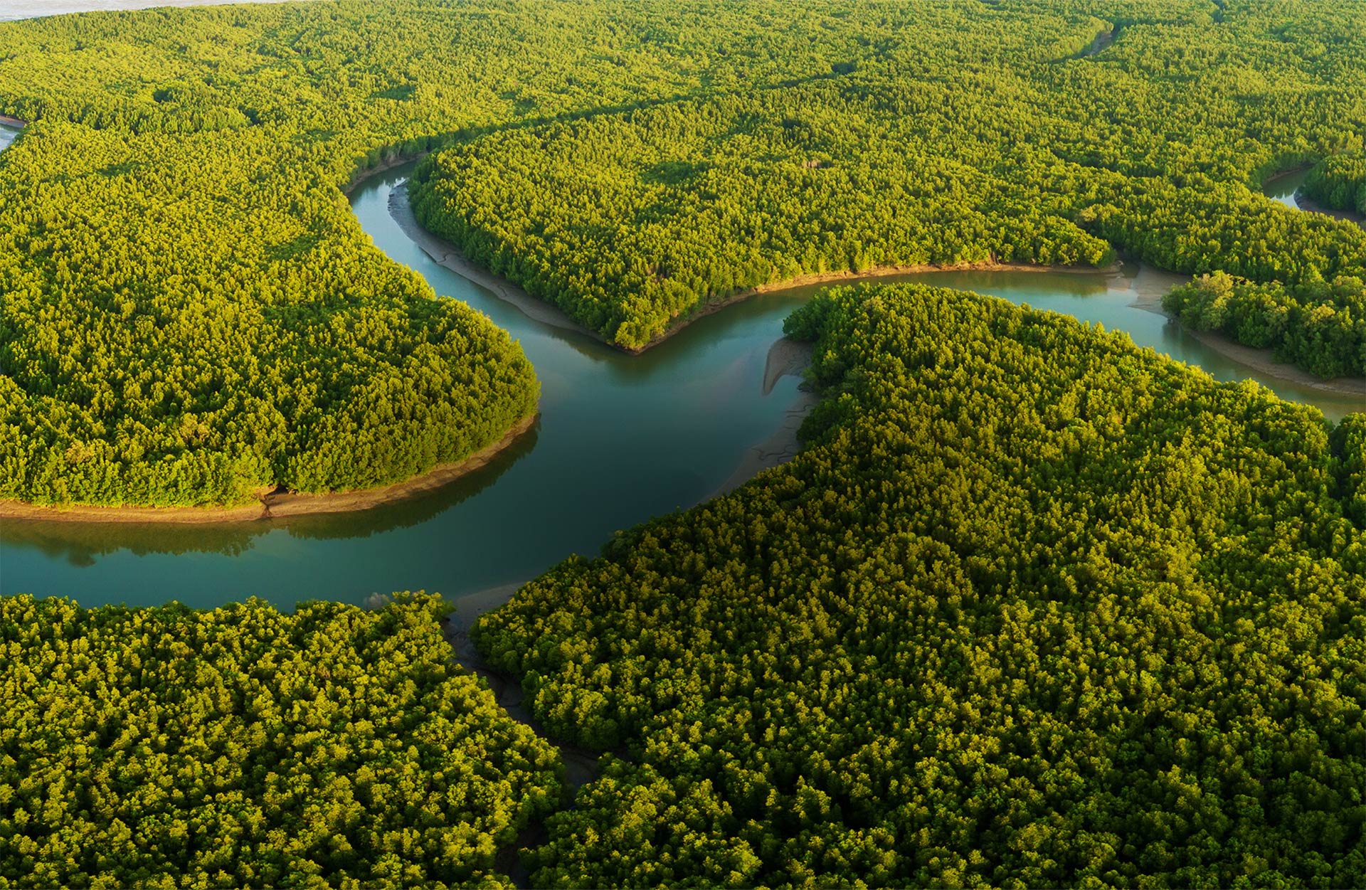 aerial photo of nature reserve with mangroves