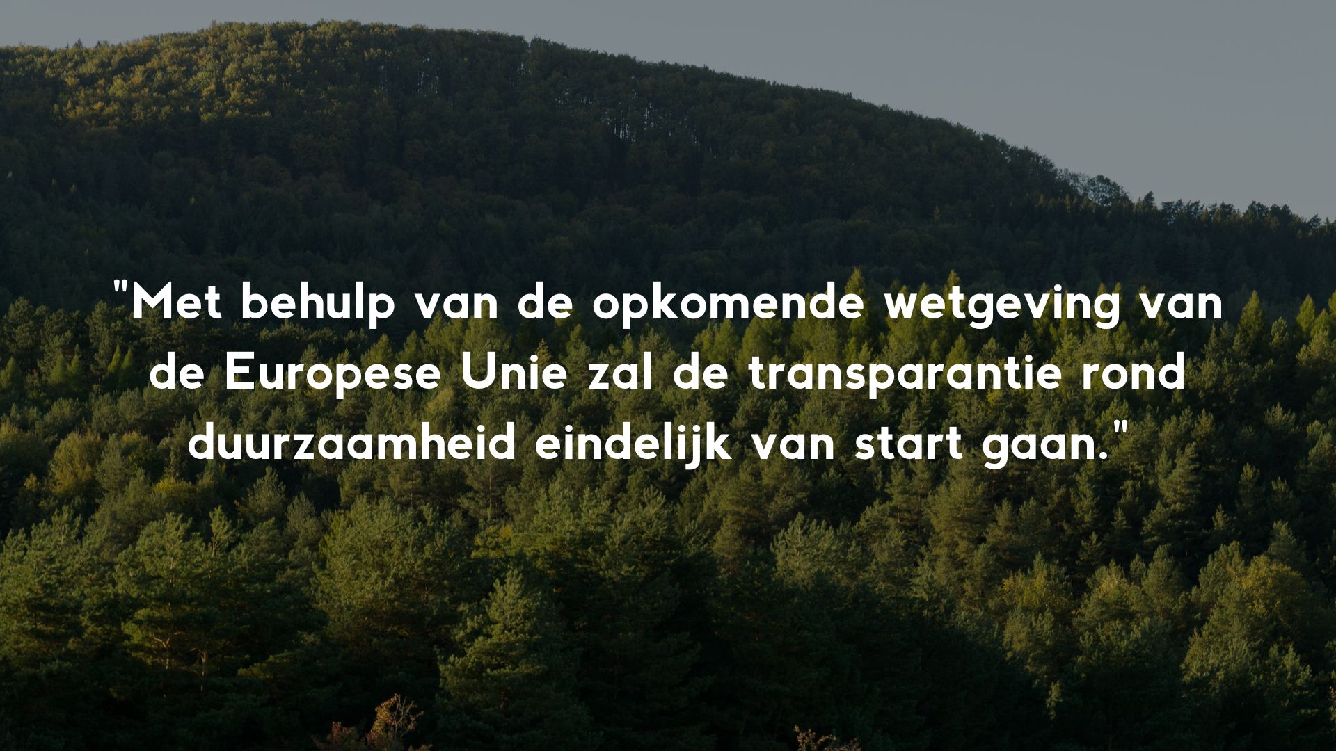 halve luchtfoto bos met citaat over transparantie in duurzaamheid door EU-wetgeving