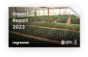 impact report 2023