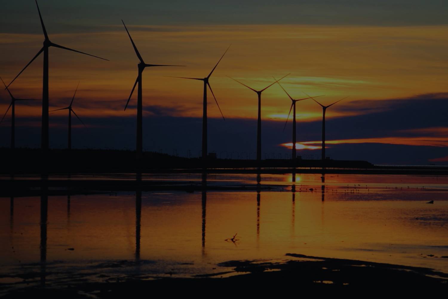 wind turbines in a field creating renewable energy