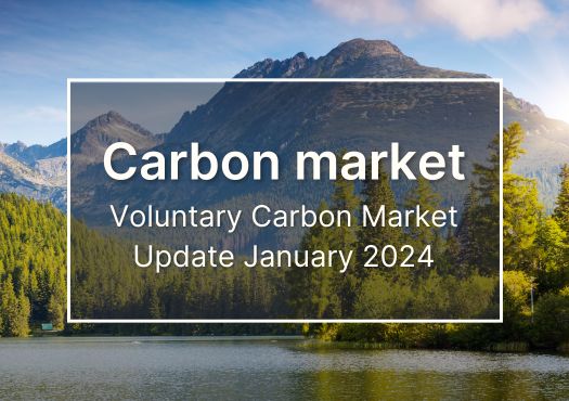 Carbon Market Update January 2024 banner