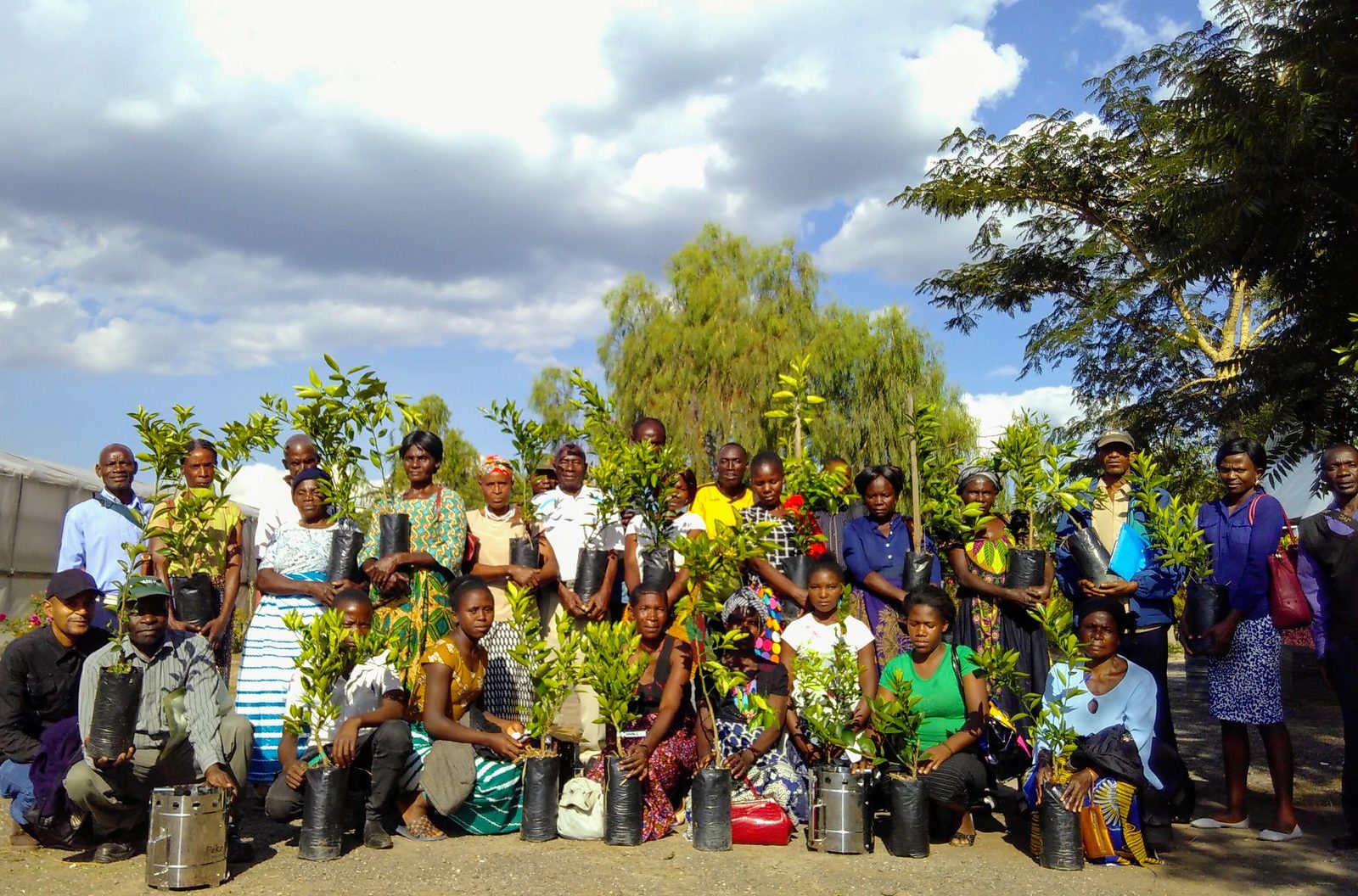Workers on the project side in Zambia holding tree seedlings