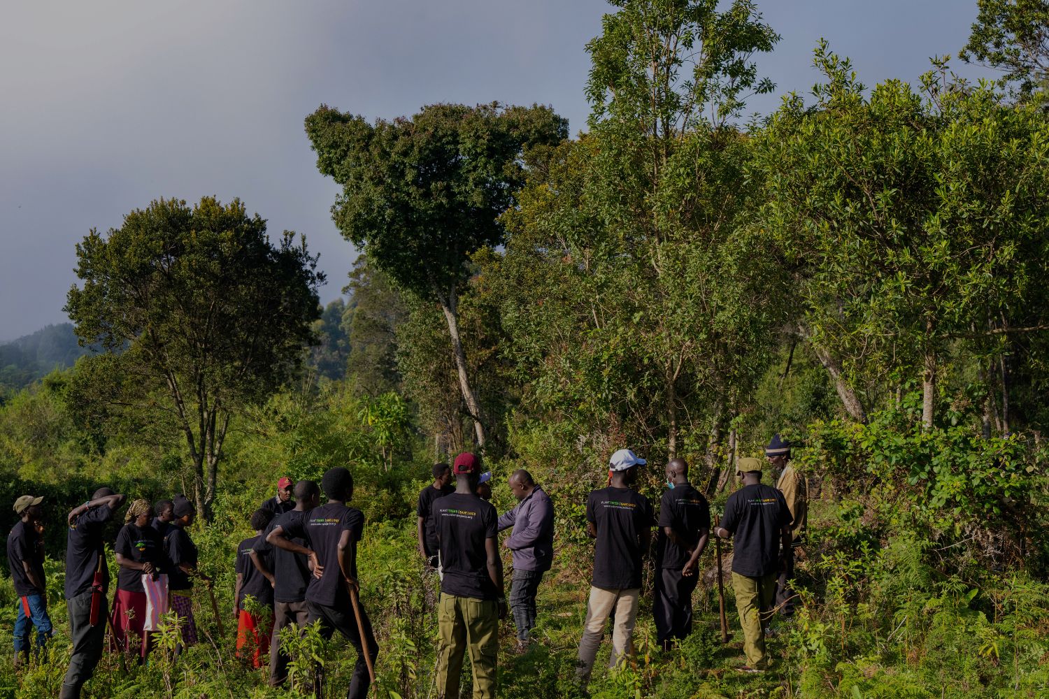 Local community workers at tree planting site in the forest