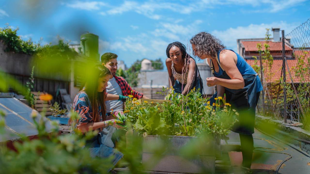 Friends taking climate action through urban gardening on top of city roof