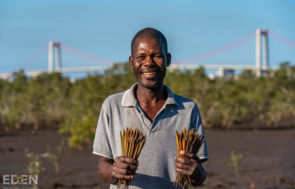 Local community planting mangrove seedlings in Mozambique