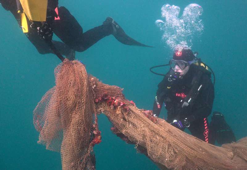 Divers diving with a net full of corals