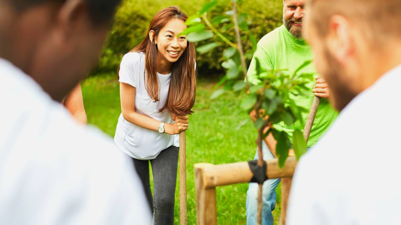 Employees planting trees to play a role in climate action