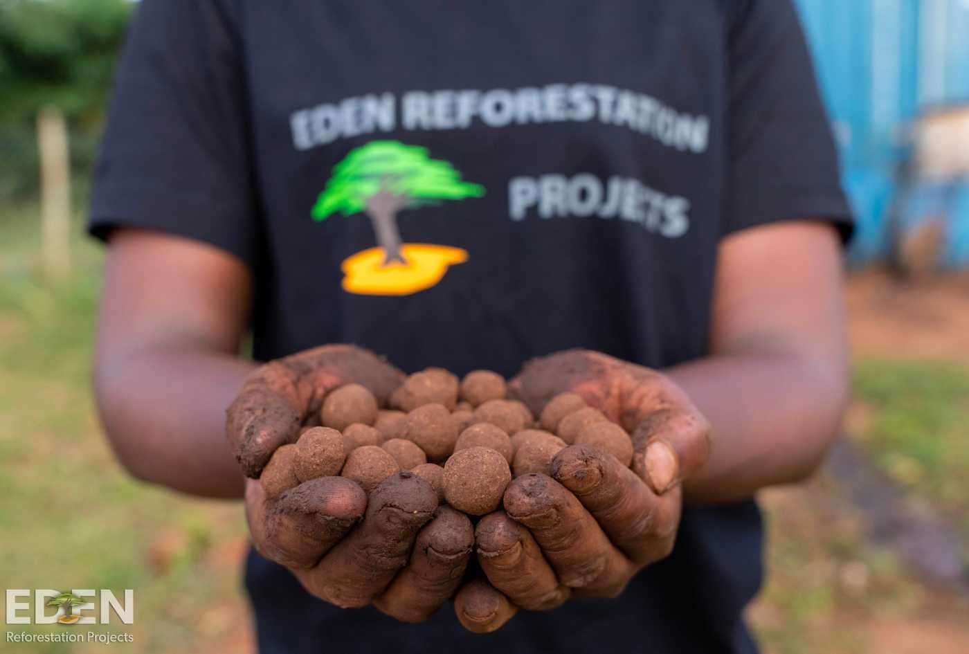 Local worker holding tree seeds in their hand