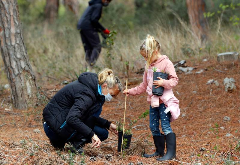 Little girl plants trees with parent