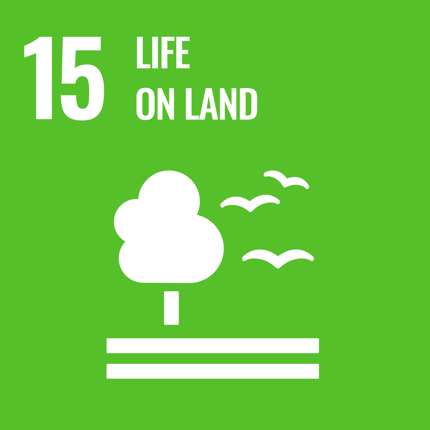 UN sustainable development goal 15 life on land