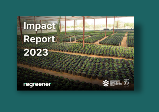 Impact report 2023 front cover