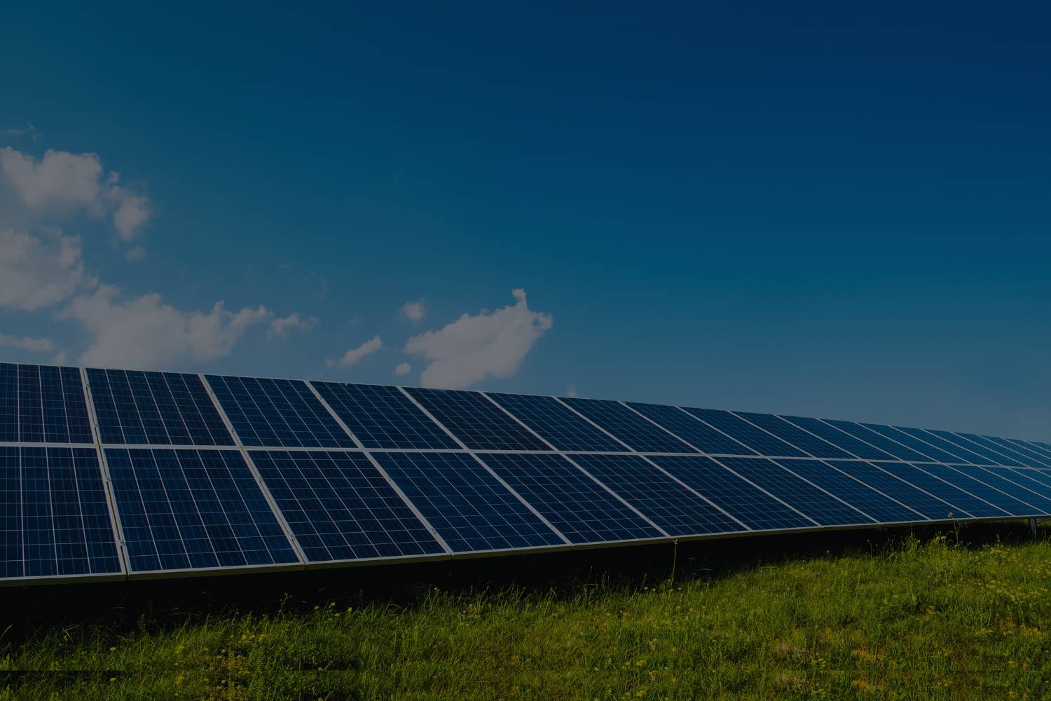 solar panels showcasing renewable energy